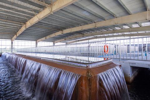 怎么保养多功效微型过滤机？？？？？